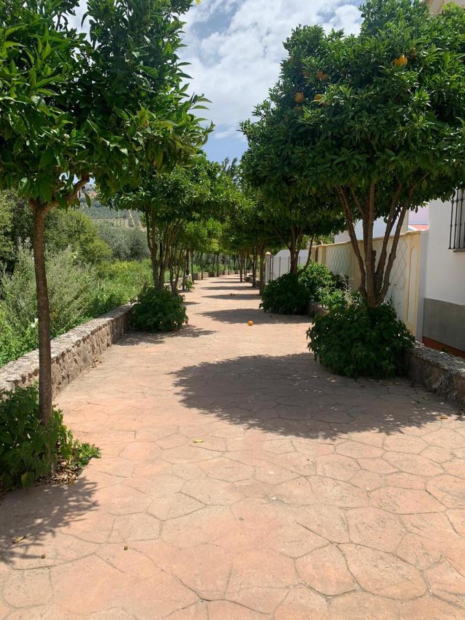 Apartamento En Cuevas Del Becerro Eksteriør billede